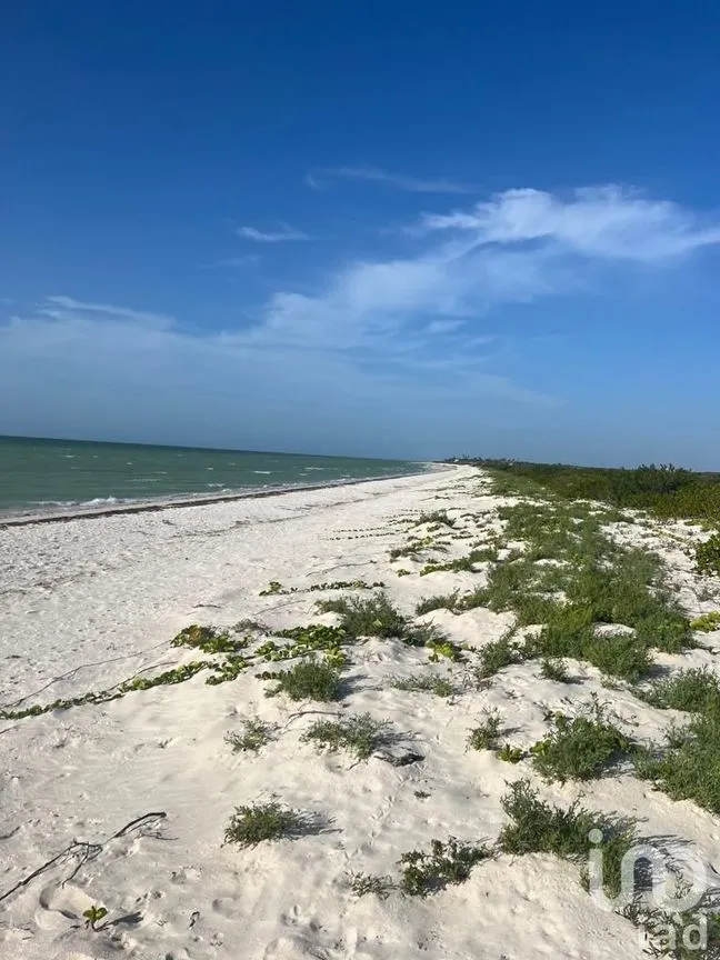 Terreno en Venta en Sisal, Hunucmá, Yucatán | NEX-227834 | iad México | Foto 6 de 13