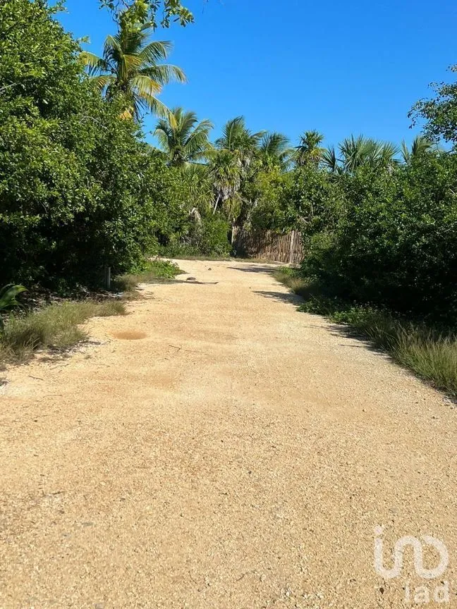 Terreno en Venta en Sisal, Hunucmá, Yucatán | NEX-227834 | iad México | Foto 7 de 13