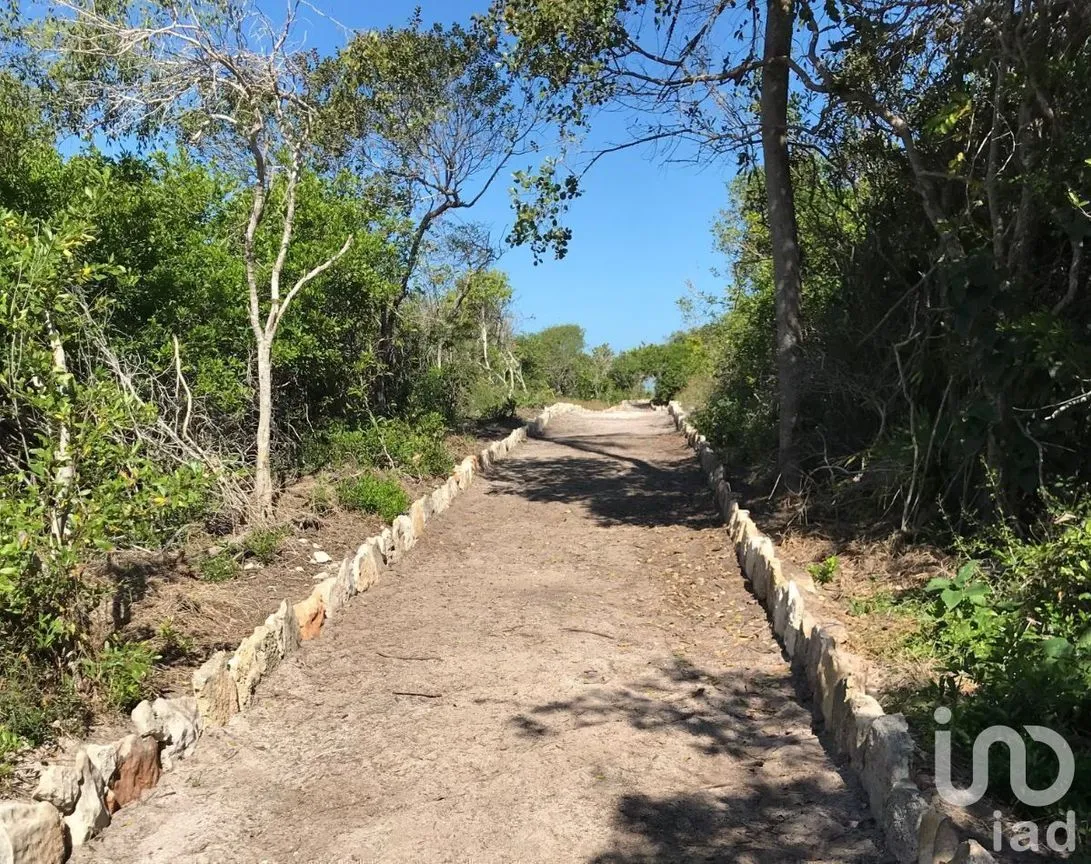 Terreno en Venta en Sisal, Hunucmá, Yucatán | NEX-227834 | iad México | Foto 8 de 13