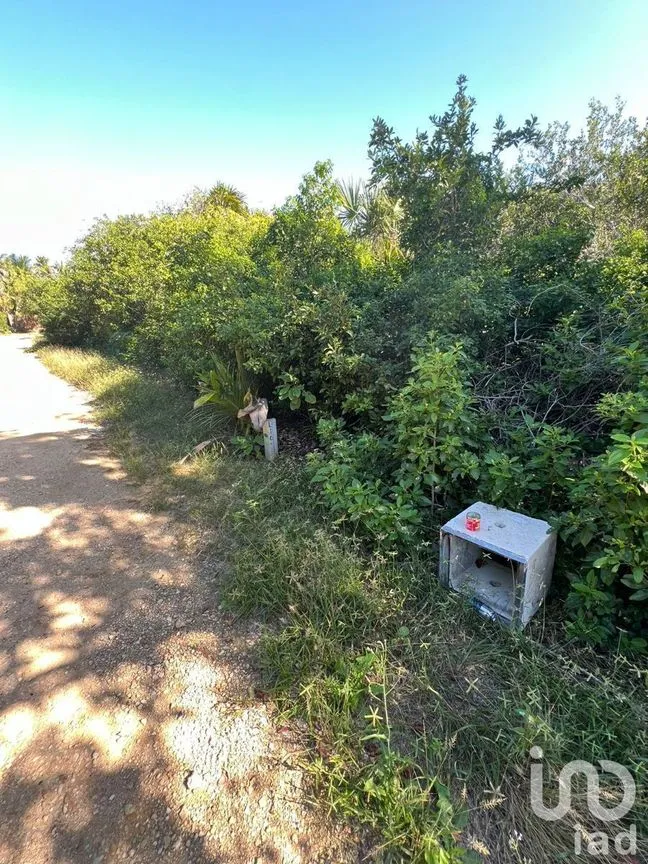 Terreno en Venta en Sisal, Hunucmá, Yucatán | NEX-227834 | iad México | Foto 9 de 13
