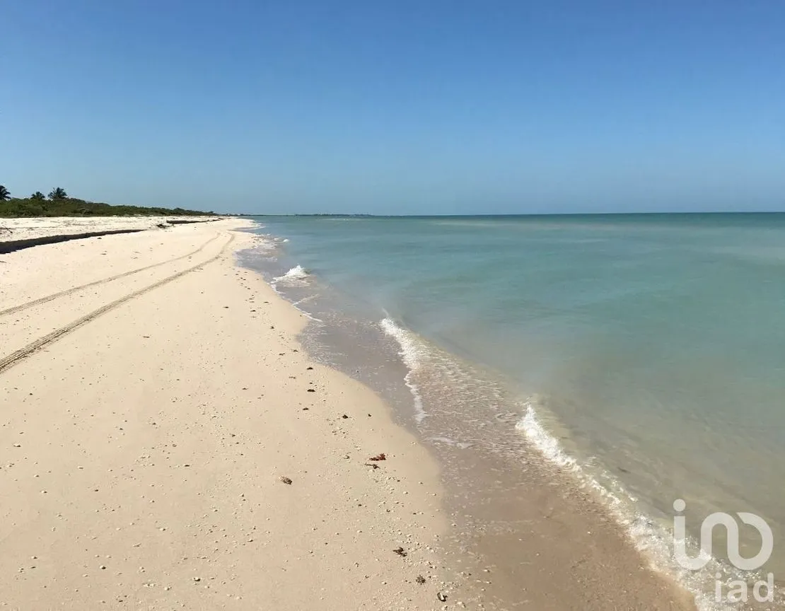 Terreno en Venta en Sisal, Hunucmá, Yucatán | NEX-227834 | iad México | Foto 1 de 13