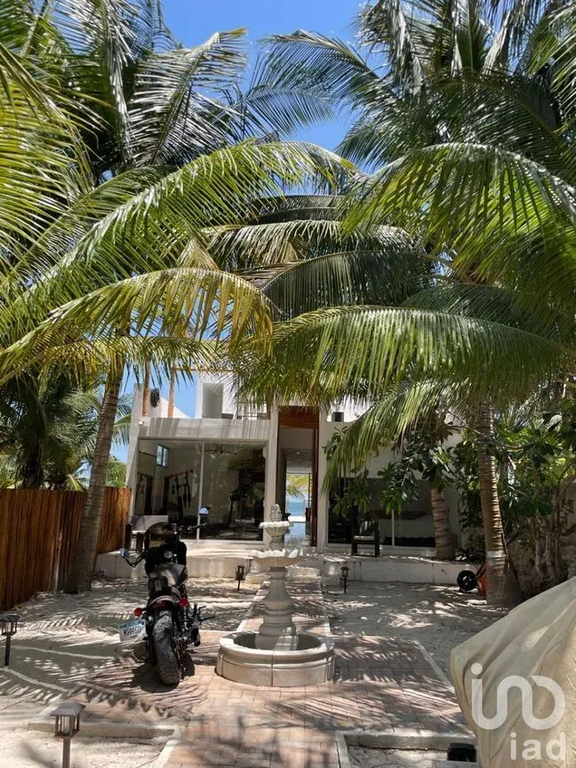 Casa en Venta en San Crisanto, Sinanché, Yucatán | NEX-229838 | iad México | Foto 4 de 48