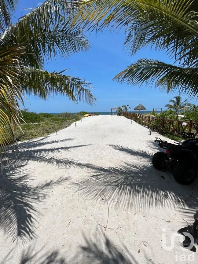 Casa en Venta en San Crisanto, Sinanché, Yucatán | NEX-229838 | iad México | Foto 43 de 48