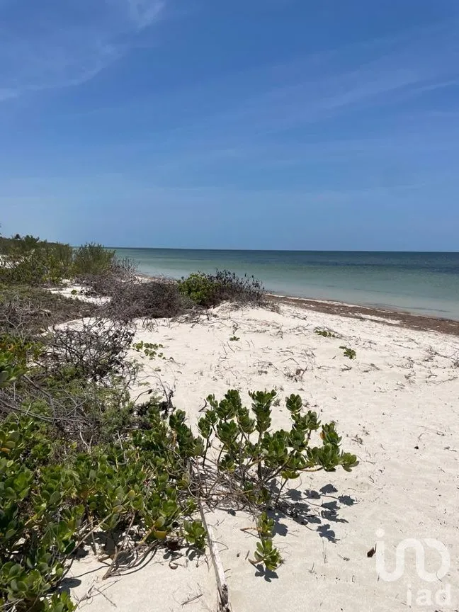 Casa en Venta en San Crisanto, Sinanché, Yucatán | NEX-229838 | iad México | Foto 44 de 48