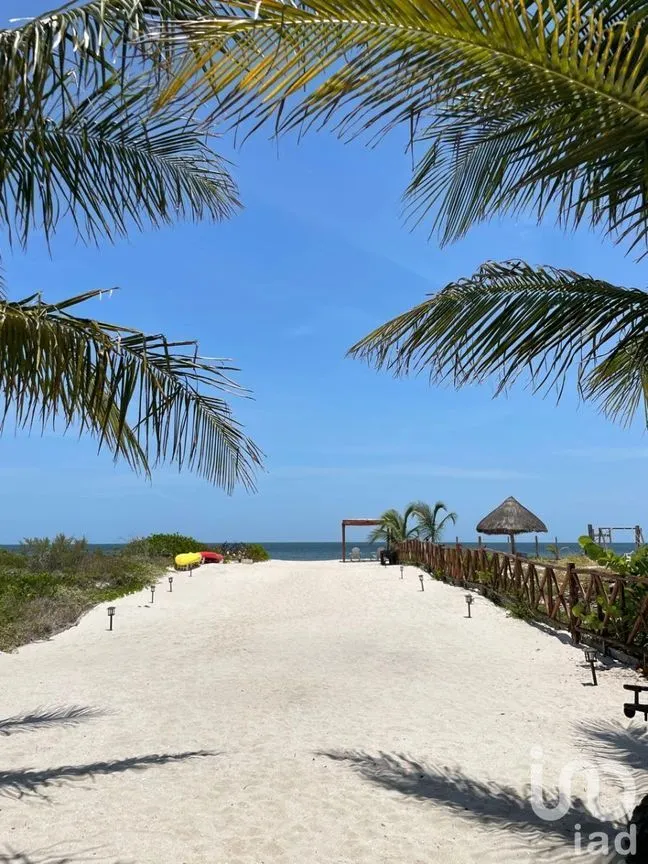Casa en Venta en San Crisanto, Sinanché, Yucatán | NEX-229838 | iad México | Foto 45 de 48