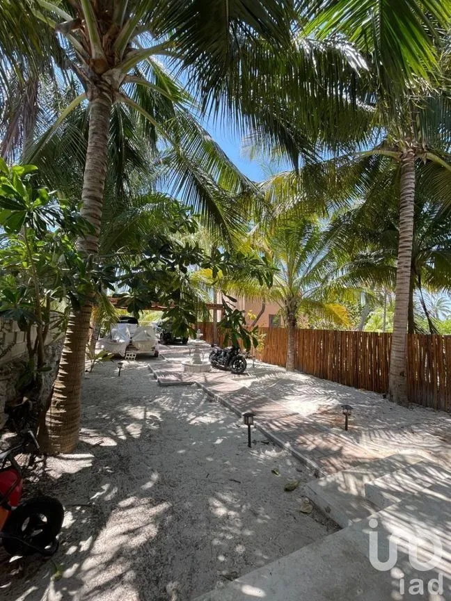 Casa en Venta en San Crisanto, Sinanché, Yucatán | NEX-229838 | iad México | Foto 8 de 48