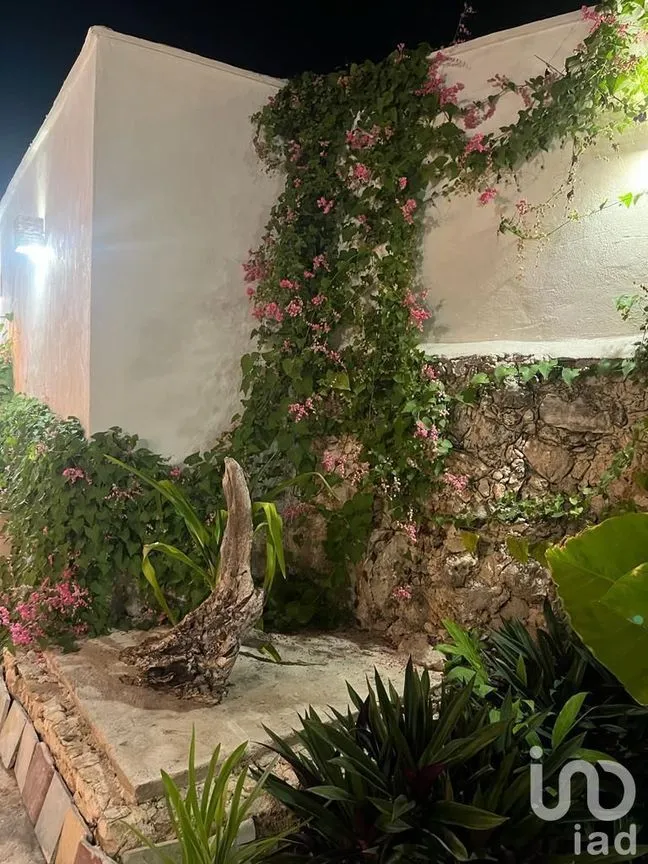 Casa en Venta en Mérida Centro, Mérida, Yucatán | NEX-229840 | iad México | Foto 27 de 37