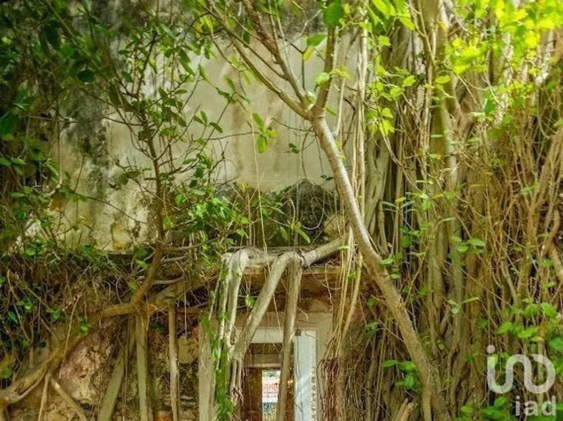 Casa en Venta en Mérida Centro, Mérida, Yucatán | NEX-230104 | iad México | Foto 23 de 25