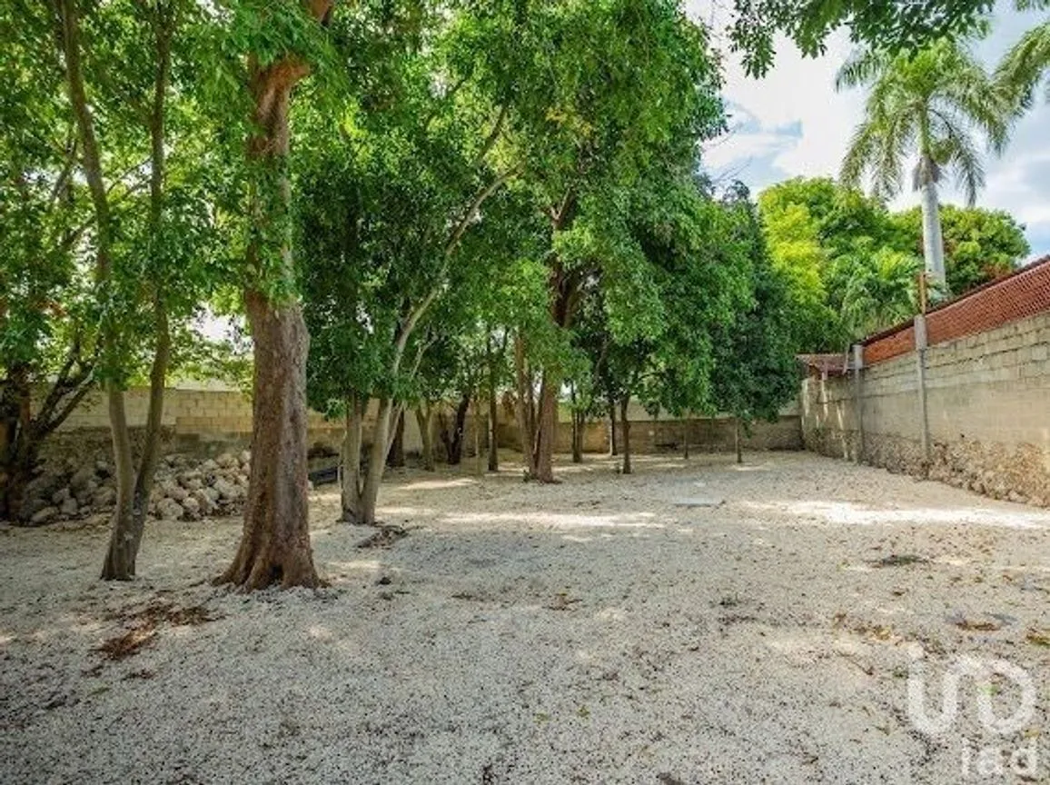 Casa en Venta en Mérida Centro, Mérida, Yucatán | NEX-230104 | iad México | Foto 24 de 25