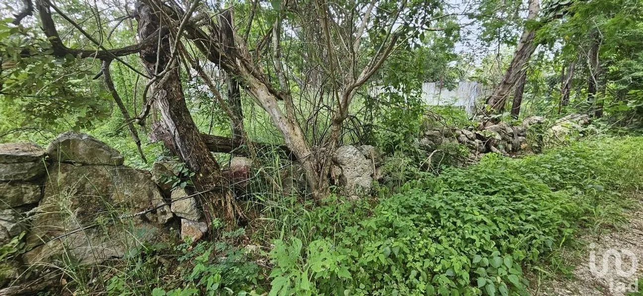 Terreno en Venta en Chichi Suárez, Mérida, Yucatán | NEX-231524 | iad México | Foto 2 de 7