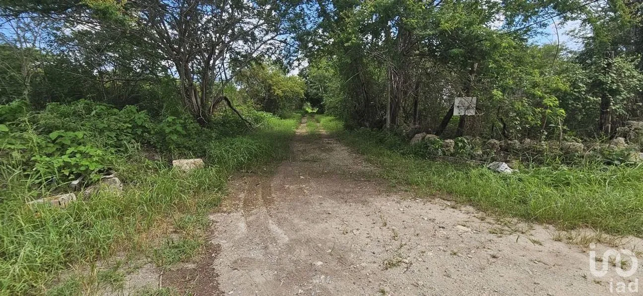 Terreno en Venta en Chichi Suárez, Mérida, Yucatán | NEX-231524 | iad México | Foto 3 de 7