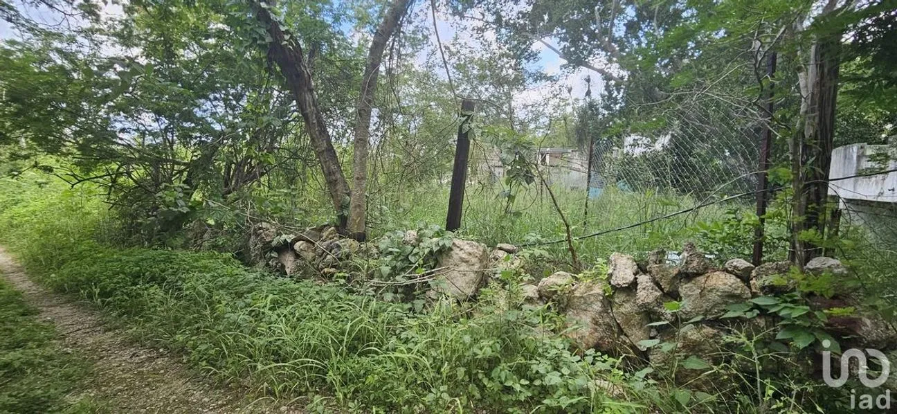 Terreno en Venta en Chichi Suárez, Mérida, Yucatán | NEX-231524 | iad México | Foto 4 de 7