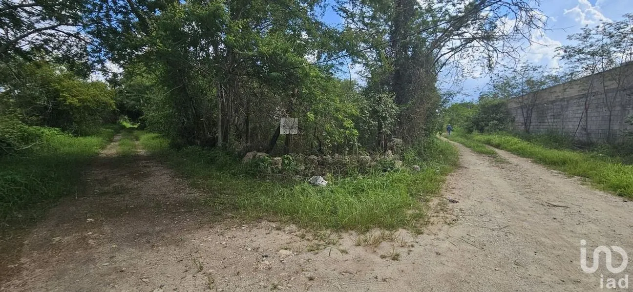 Terreno en Venta en Chichi Suárez, Mérida, Yucatán | NEX-231524 | iad México | Foto 7 de 7