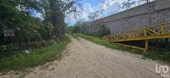NEX-231524 - Terreno en Venta en Chichi Suárez, CP 97306, Yucatán.