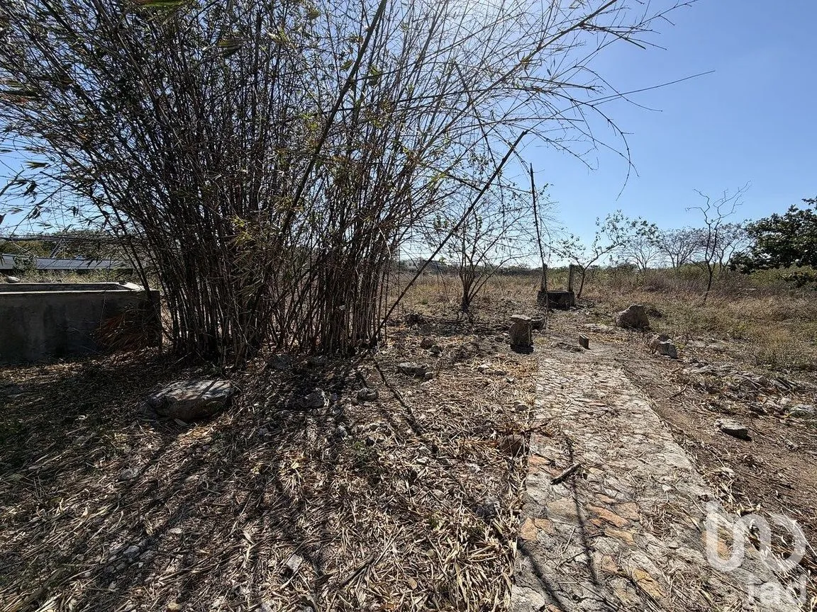 Terreno en Venta en Chichi Suárez, Mérida, Yucatán | NEX-291414 | iad México | Foto 7 de 9
