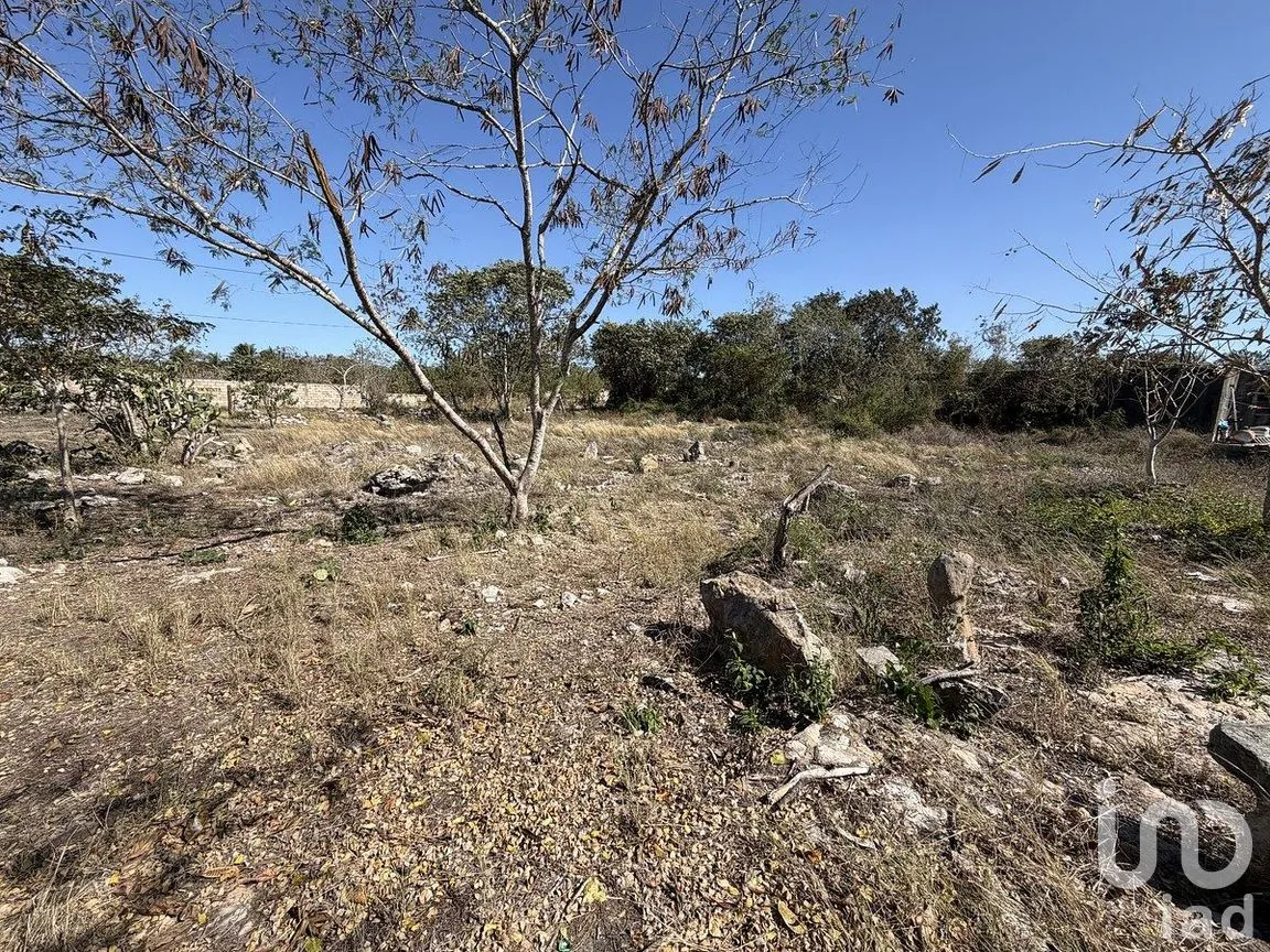 Terreno en Venta en Chichi Suárez, Mérida, Yucatán | NEX-291414 | iad México | Foto 8 de 9