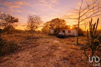 NEX-291414 - Terreno en Venta en Chichi Suárez, CP 97306, Yucatán.