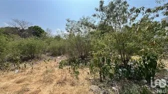 NEX-298281 - Terreno en Venta.