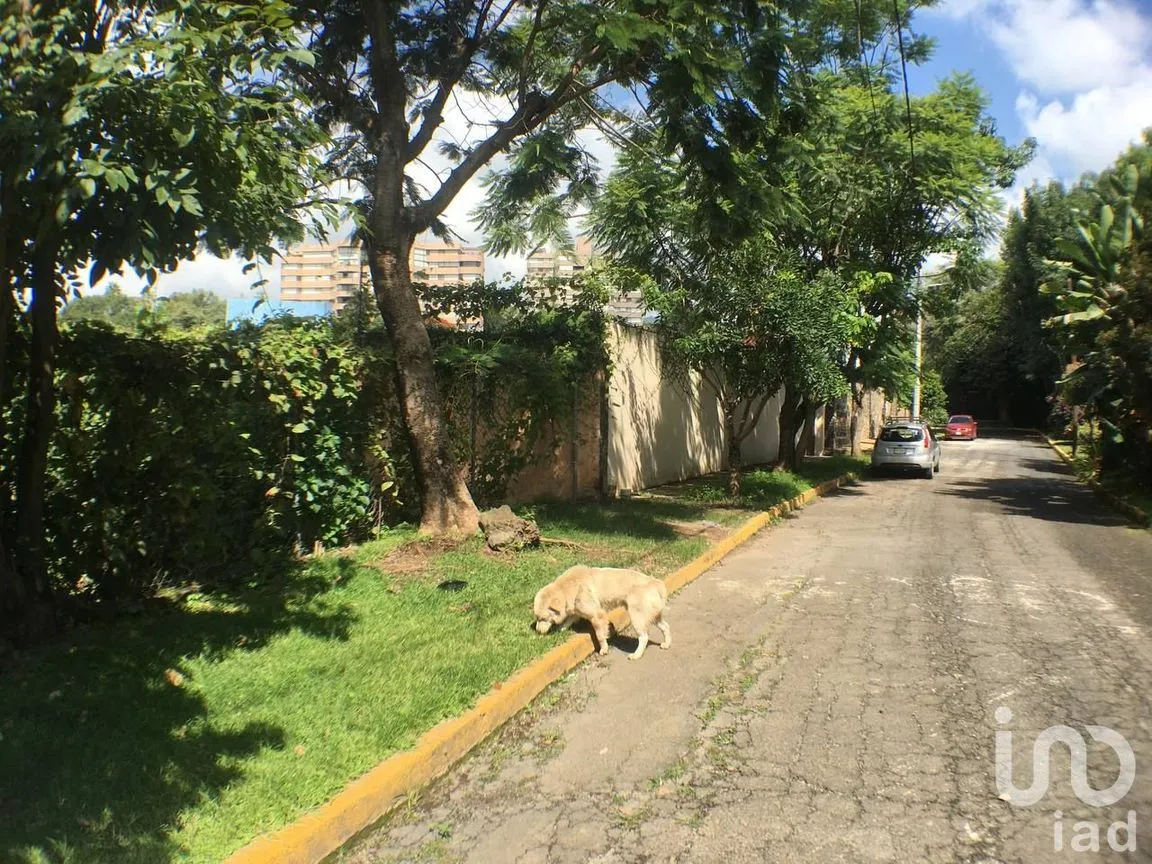 Terreno en Venta en Rancho Cortes, Cuernavaca, Morelos | NEX-147510 | iad México | Foto 6 de 10