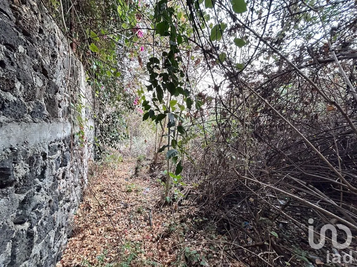 Terreno en Venta en Rancho Cortes, Cuernavaca, Morelos | NEX-147510 | iad México | Foto 6 de 9