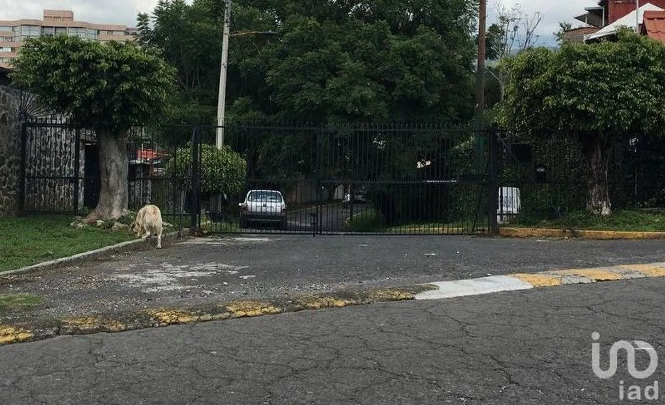 Terreno en Venta en Rancho Cortes, Cuernavaca, Morelos | NEX-147510 | iad México | Foto 7 de 9