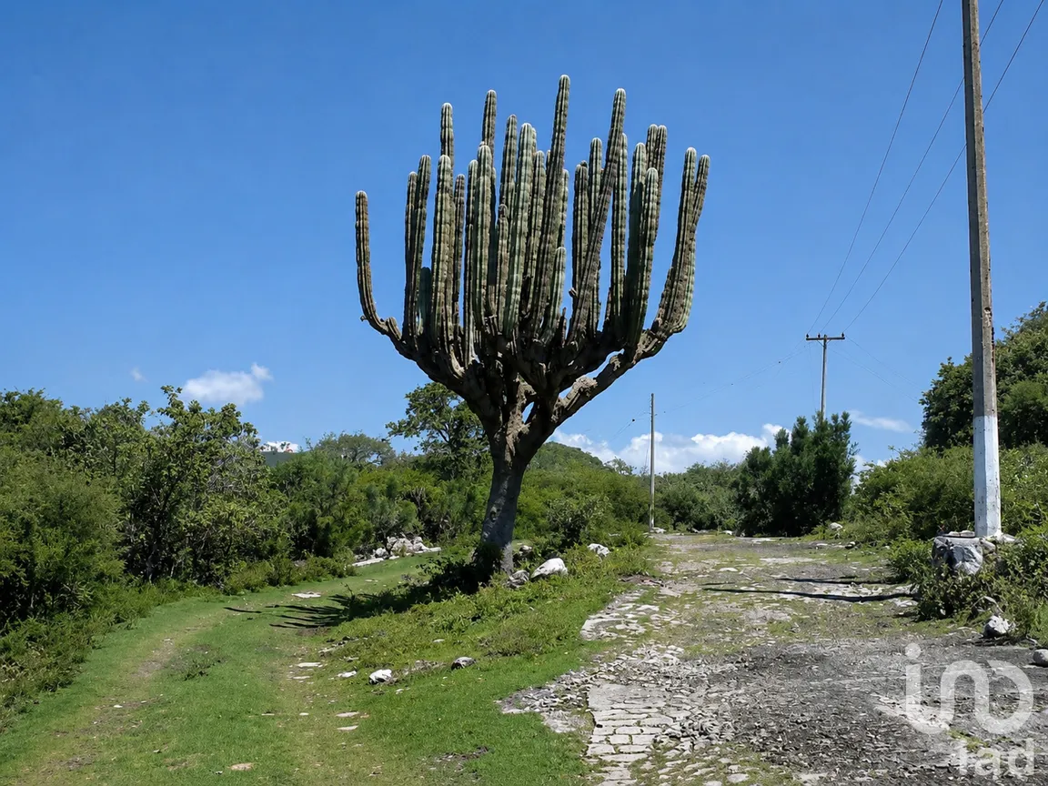 Terreno en Venta en Ticumán, Tlaltizapán de Zapata, Morelos | NEX-164907 | iad México | Foto 3 de 6