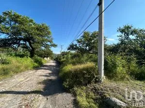NEX-235214 - Terreno en Venta en Alpuyeca, CP 62797, Morelos.