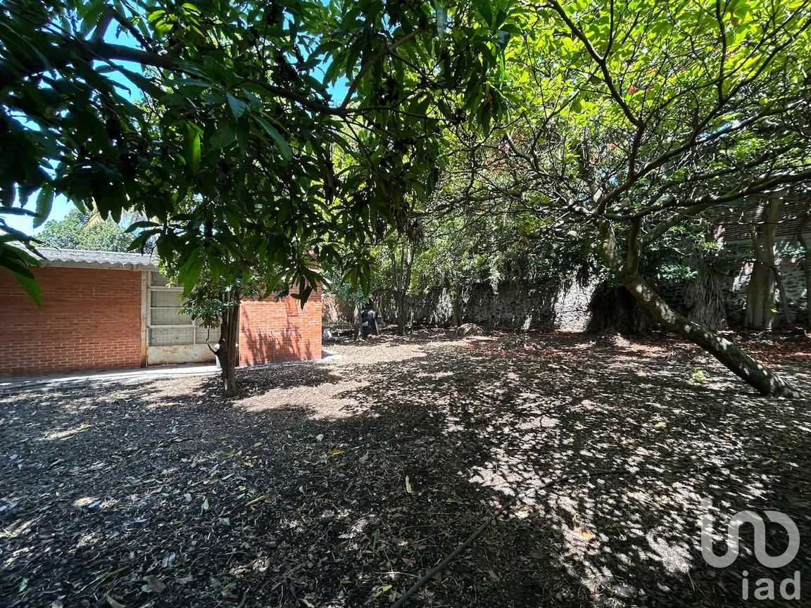 Terreno en Venta en Río Apatlaco, Temixco, Morelos | NEX-258316 | iad México | Foto 4 de 8