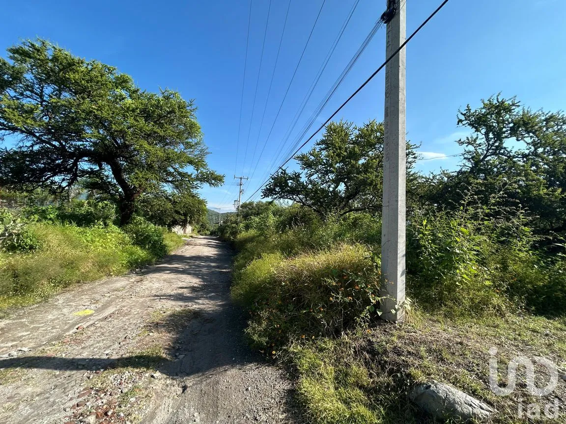 Terreno en Venta en Alpuyeca, Xochitepec, Morelos | NEX-258707 | iad México | Foto 2 de 4