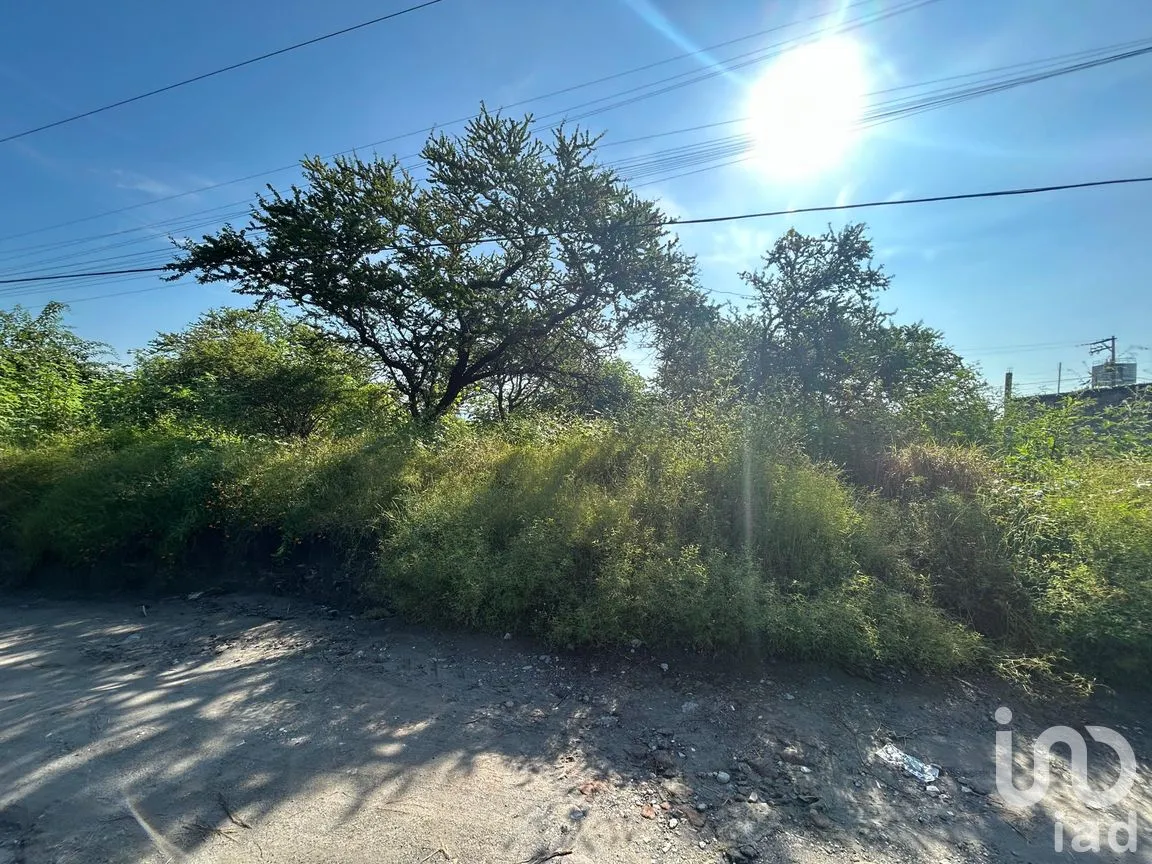 Terreno en Venta en Alpuyeca, Xochitepec, Morelos | NEX-258707 | iad México | Foto 4 de 4