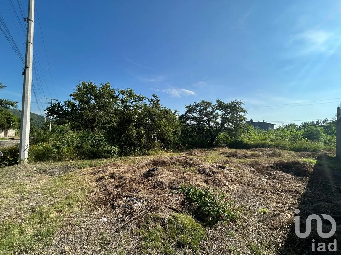 Terreno en Venta en Alpuyeca, Xochitepec, Morelos | NEX-258707 | iad México | Foto 1 de 4
