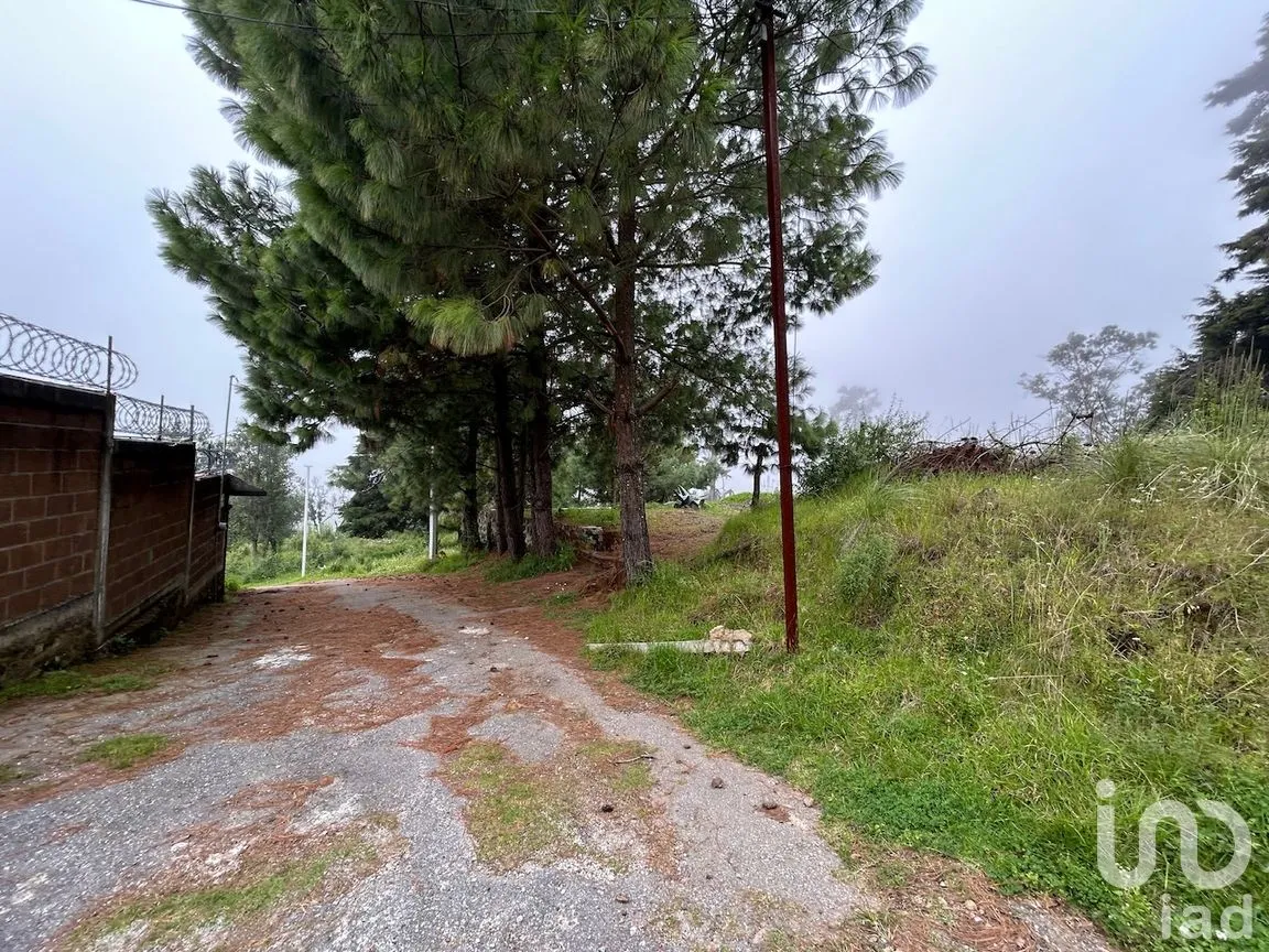 Terreno en Venta en San Rafael (Tepetlixpa), Huitzilac, Morelos | NEX-263813 | iad México | Foto 2 de 5