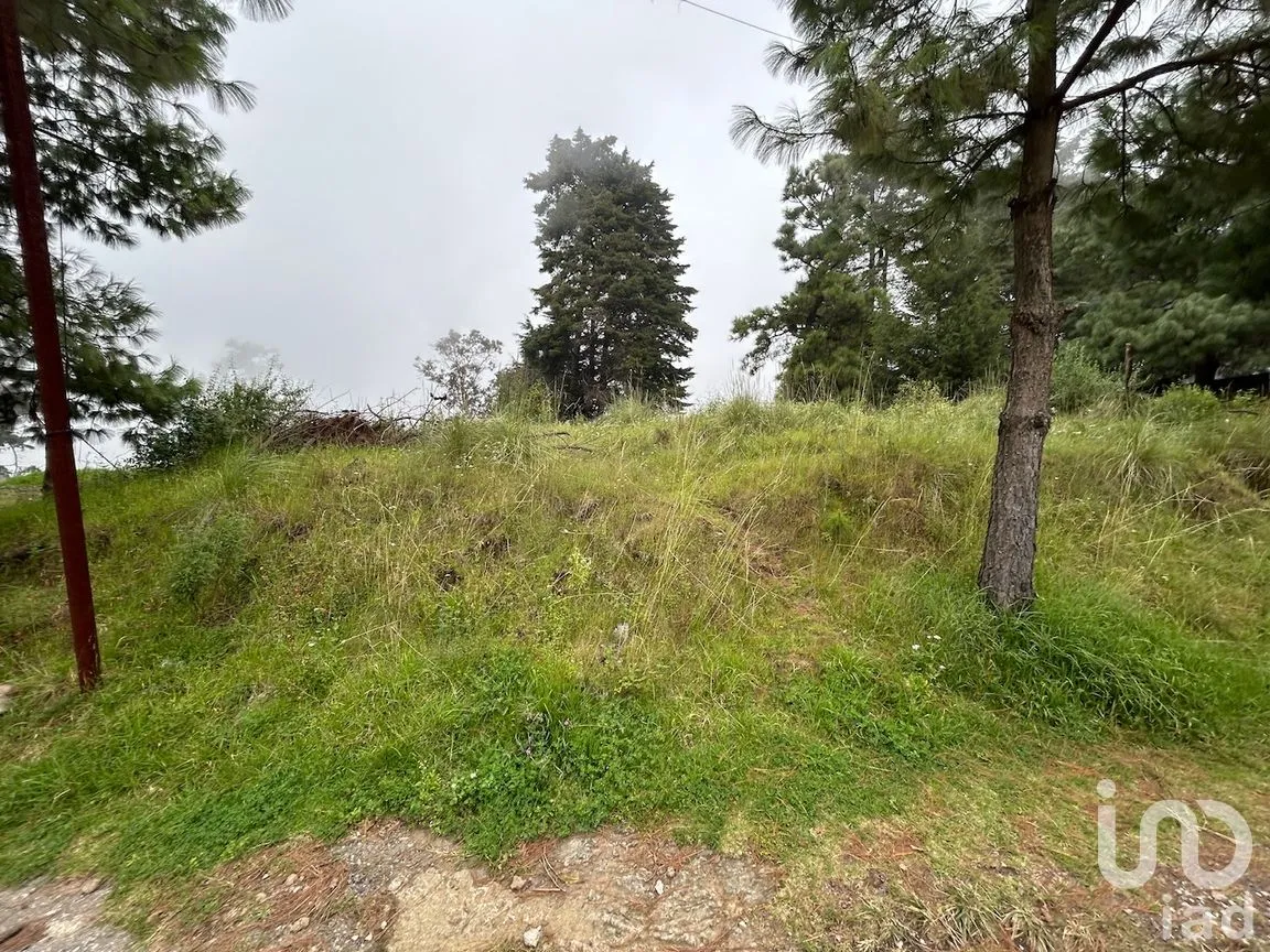 Terreno en Venta en San Rafael (Tepetlixpa), Huitzilac, Morelos | NEX-263813 | iad México | Foto 3 de 5