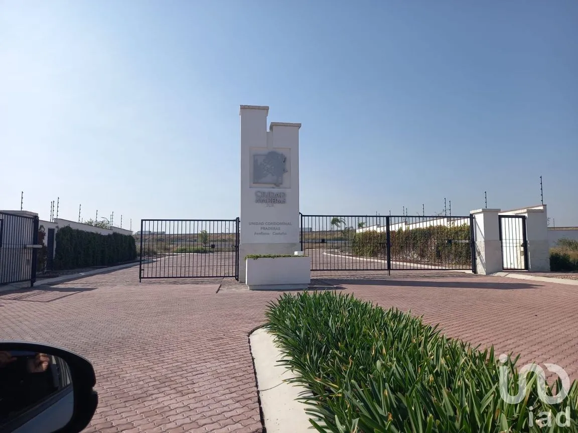 Terreno en Venta en Apaseo el Alto Centro, Apaseo el Alto, Guanajuato | NEX-159413 | iad México | Foto 9 de 10