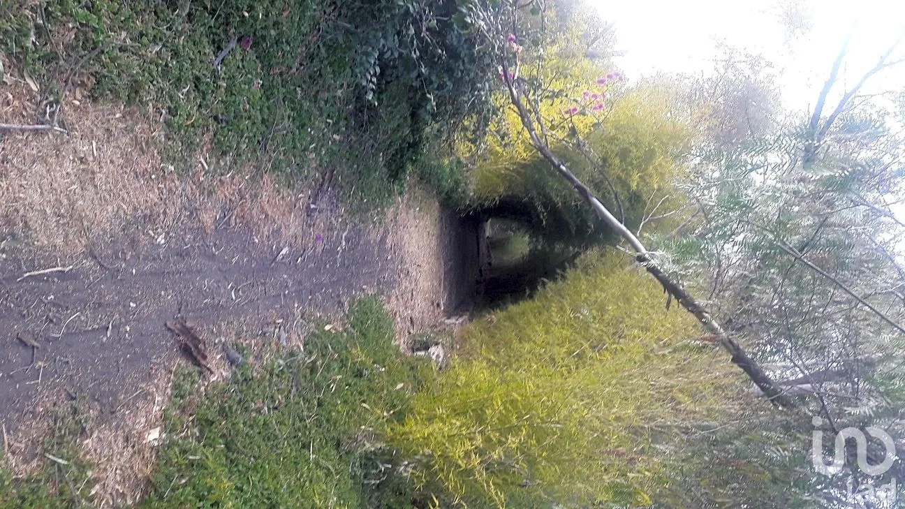 Terreno en Venta en El Encino, Huimilpan, Querétaro | NEX-235469 | iad México | Foto 13 de 20