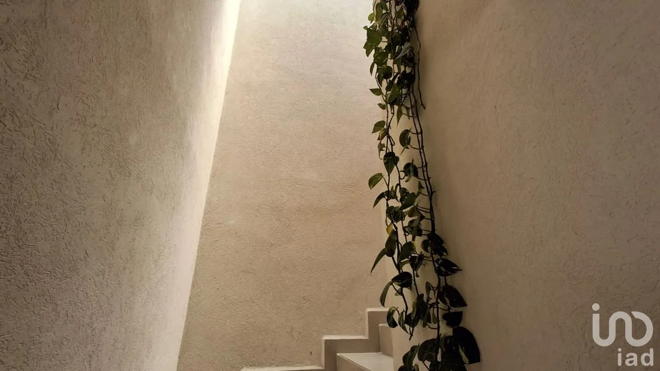 Casa en Venta en La Vida, Corregidora, Querétaro | NEX-294935 | iad México | Foto 15 de 31