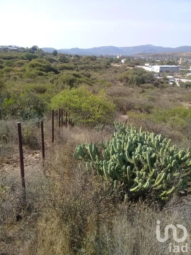 Terreno en Renta en Las Fronteras, Colón, Querétaro | NEX-5093 | iad México | Foto 4 de 8
