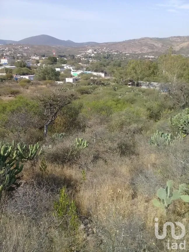 Terreno en Renta en Las Fronteras, Colón, Querétaro | NEX-5093 | iad México | Foto 5 de 8