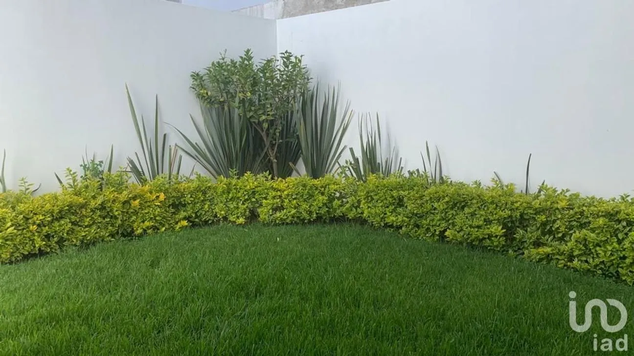 Casa en Renta en Lomas 1a Secc, San Luis Potosí, San Luis Potosí | NEX-113571 | iad México | Foto 8 de 22