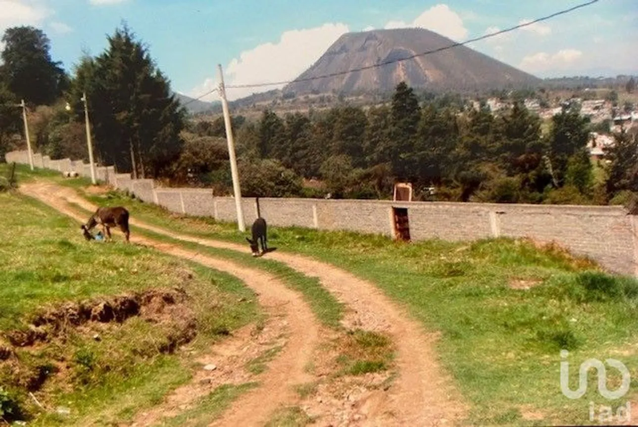 Terreno en Venta en Rumorosa, Tlalmanalco, México | NEX-176983 | iad México | Foto 3 de 7