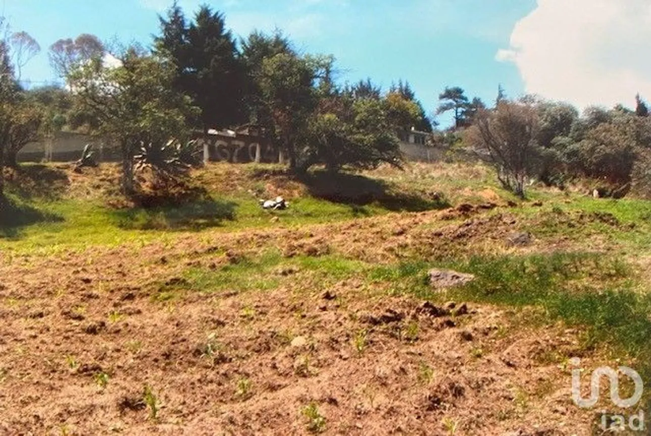 Terreno en Venta en Rumorosa, Tlalmanalco, México | NEX-176983 | iad México | Foto 6 de 7