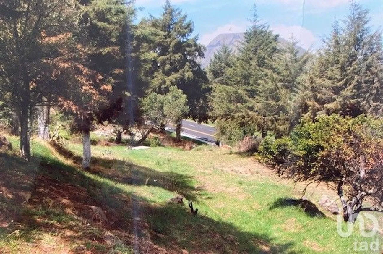 Terreno en Venta en Rumorosa, Tlalmanalco, México | NEX-176983 | iad México | Foto 4 de 7