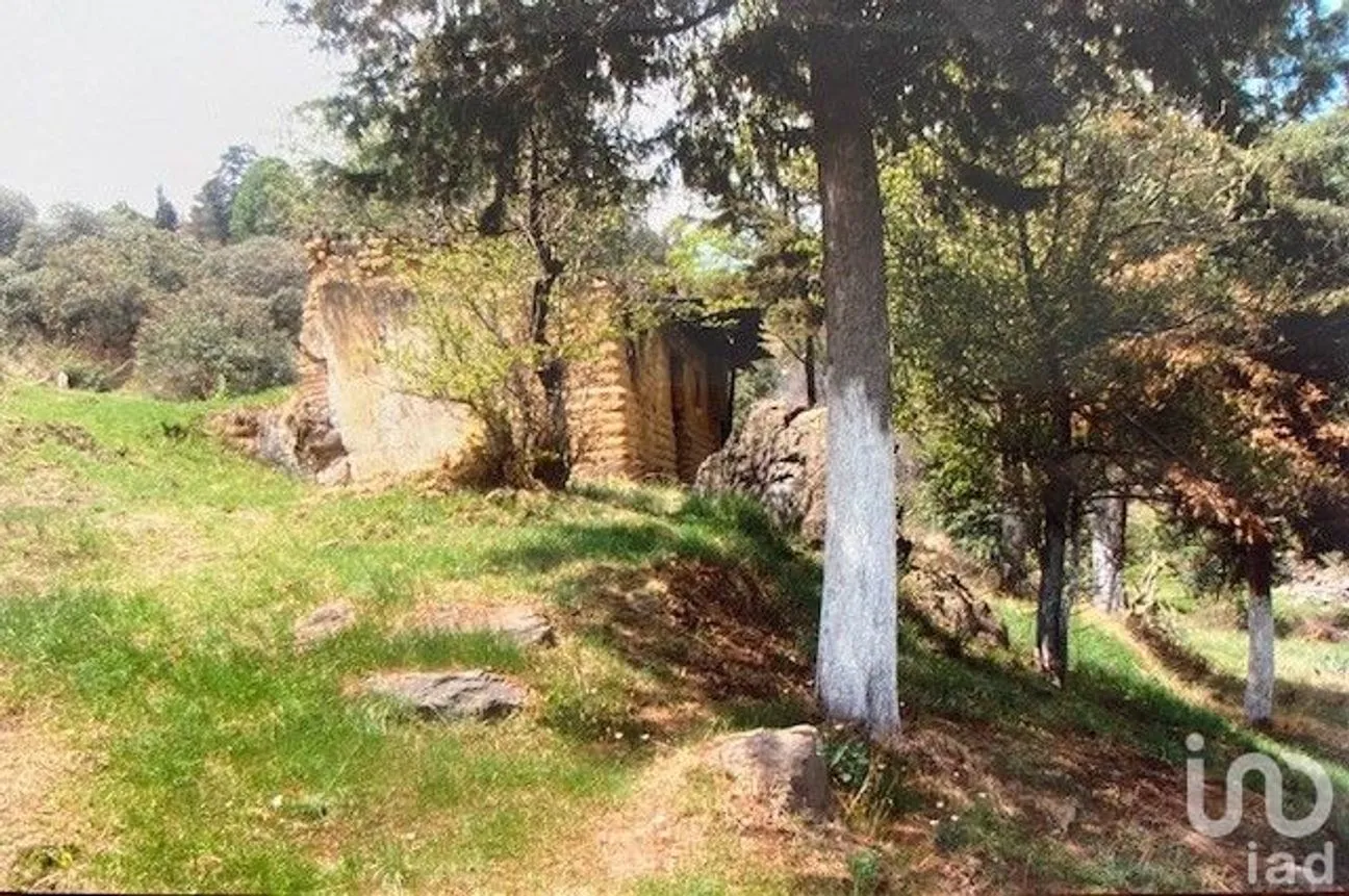 Terreno en Venta en Rumorosa, Tlalmanalco, México | NEX-176983 | iad México | Foto 5 de 7