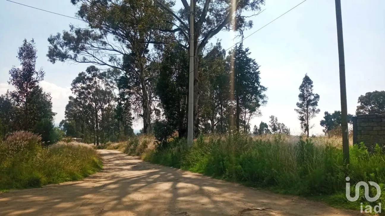 Terreno en Venta en Santa María Acuitlapilco, Tlaxcala, Tlaxcala | NEX-237284 | iad México | Foto 12 de 14