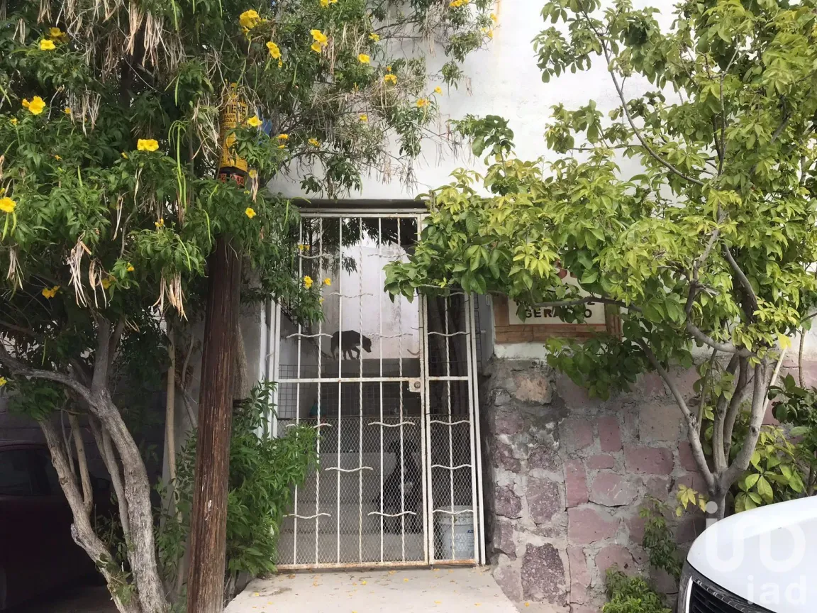 Casa en Venta en Colina de La Cruz, La Paz, Baja California Sur | NEX-158086 | iad México | Foto 4 de 31