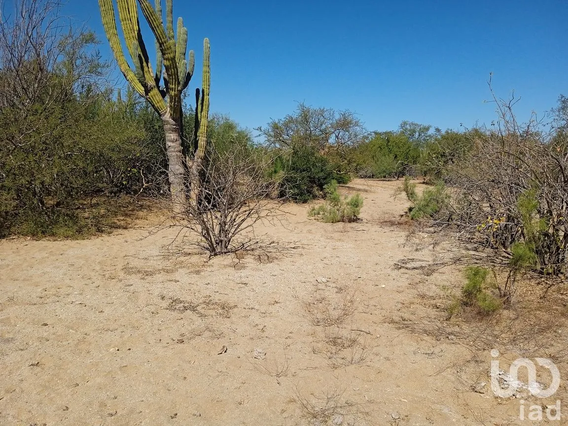 Terreno en Venta en Ensenada de Muertos, La Paz, Baja California Sur | NEX-172518 | iad México | Foto 10 de 22