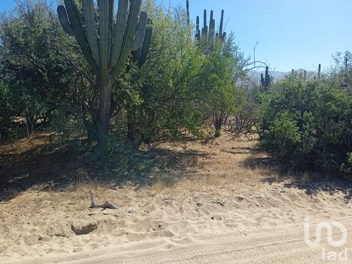 Terreno en Venta en Ensenada de Muertos, La Paz, Baja California Sur | NEX-172518 | iad México | Foto 11 de 22