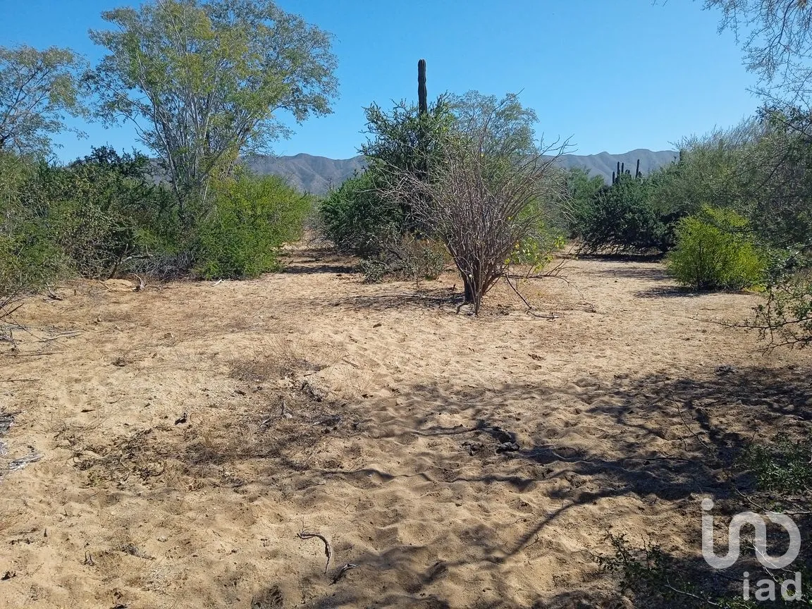 Terreno en Venta en Ensenada de Muertos, La Paz, Baja California Sur | NEX-172518 | iad México | Foto 12 de 22