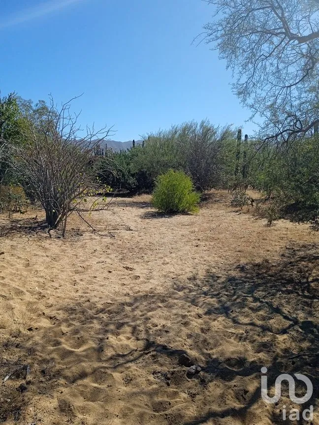 Terreno en Venta en Ensenada de Muertos, La Paz, Baja California Sur | NEX-172518 | iad México | Foto 14 de 22