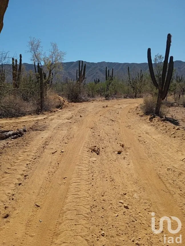 Terreno en Venta en Ensenada de Muertos, La Paz, Baja California Sur | NEX-172518 | iad México | Foto 15 de 22